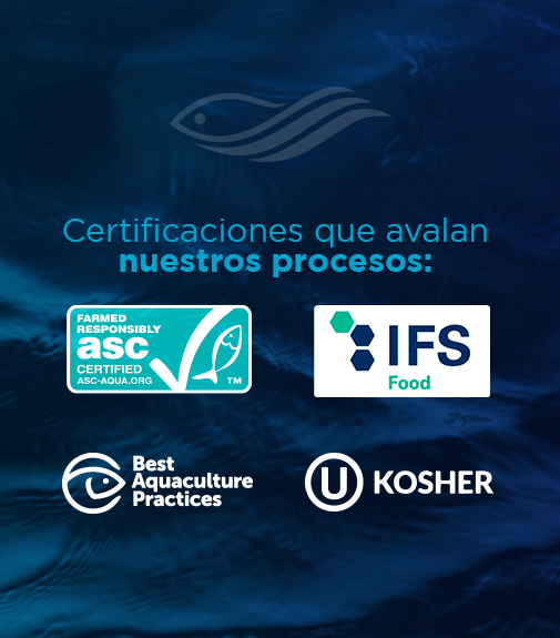 certificaciones A y A